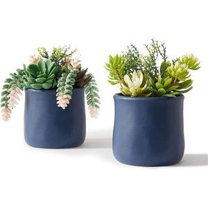 Artificial Succulent in Ceramic Pots, 2 Packs Large Faux Fake Plants Navy Blue